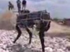 Der Robodog