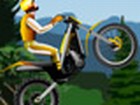 Onlinespiel: Stunt Durt Bike