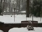 Winterbeginn im Zeitraffer